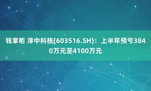 钱掌柜 淳中科技(603516.SH)：上半年预亏3840万元至4100万元